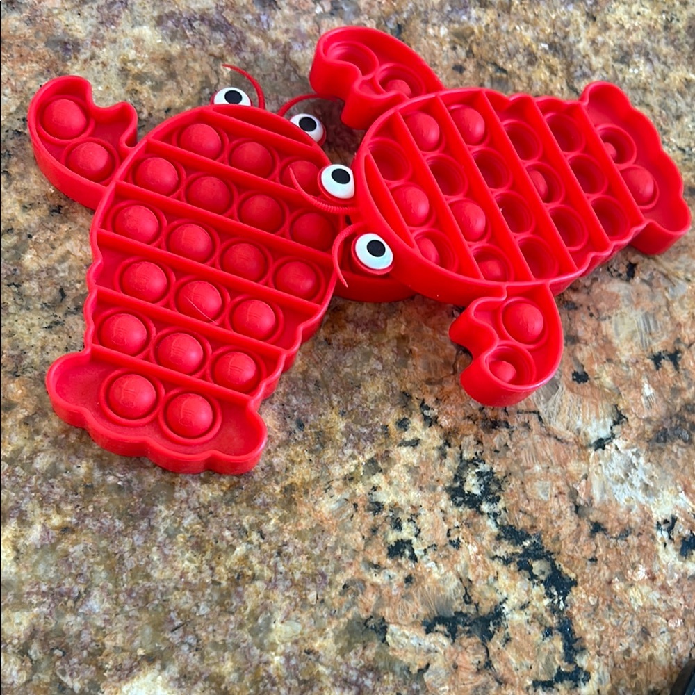 Amazon Red Sensory Puzzle Toy